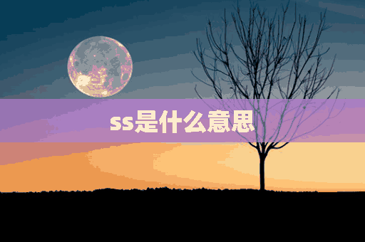 ss是什么意思